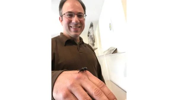 Monthly Program: "Beyond Honeybees"