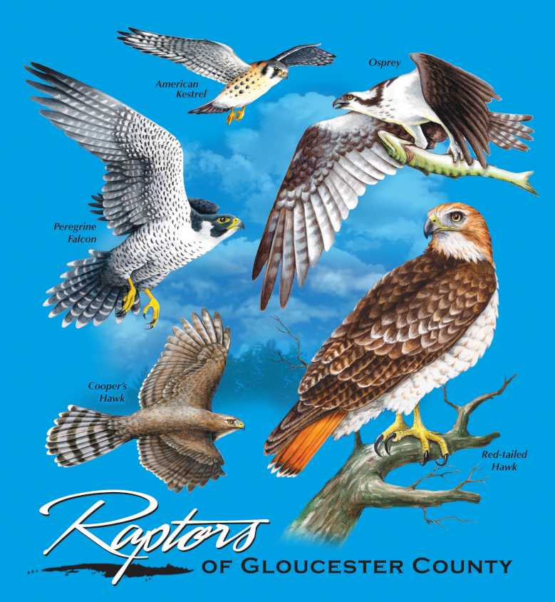 Bird Quest 2025 T-Shirt design