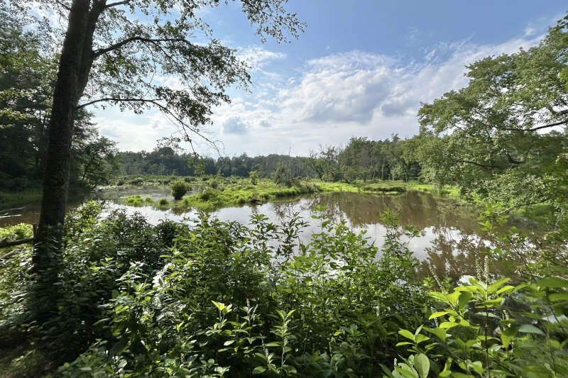 Field Trip - Hidden Acres Twp. Park & Mantua Creek WMA (Tour de Natural Places)