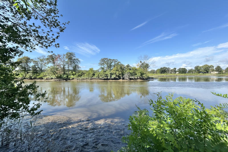 Field Trip - Raccoon Creek WMA (Tour de Natural Places)