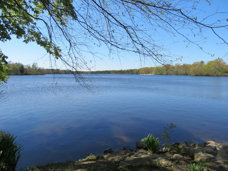 Field Trip - Parvin State Park (Tour de Natural Places)